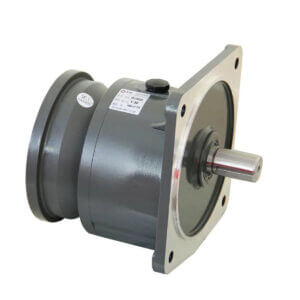 Gearhead with IEC flange-Vertical mounted